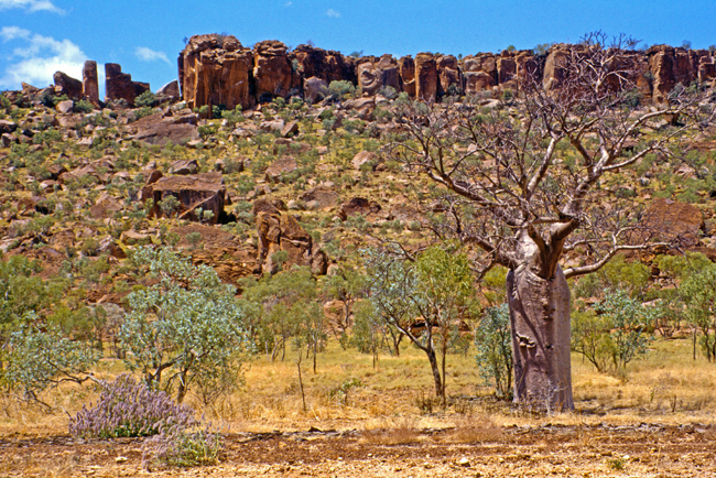 Tafelberge und Baobabs beherrschen das Landschaftsbild